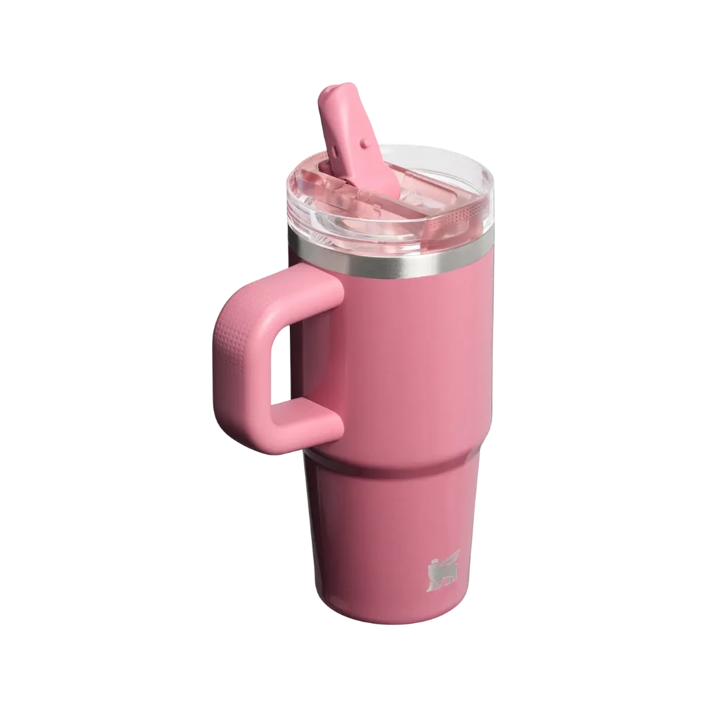 Stanley Quencher ProTour Flip Straw Tumbler (14OZ) Port Shimmer