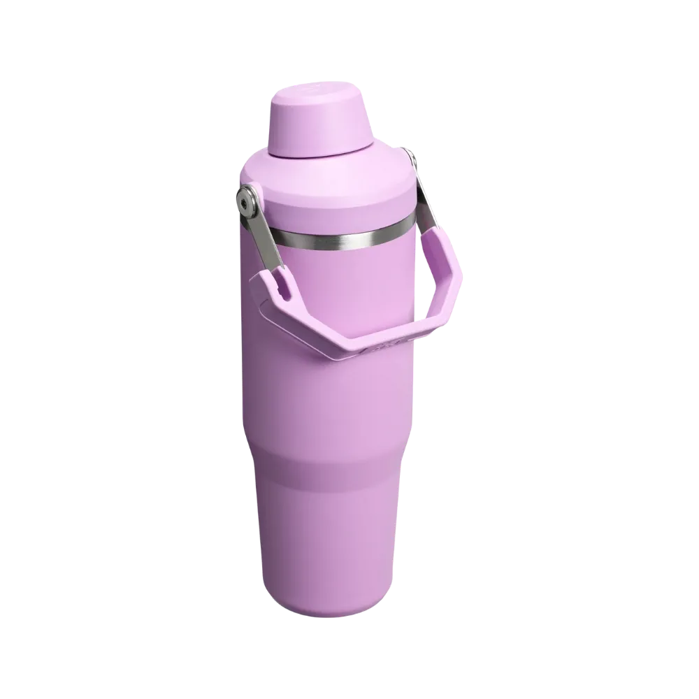 Stanley IceFlow Tumbler with Fast Flow Lid (30OZ) Lilac