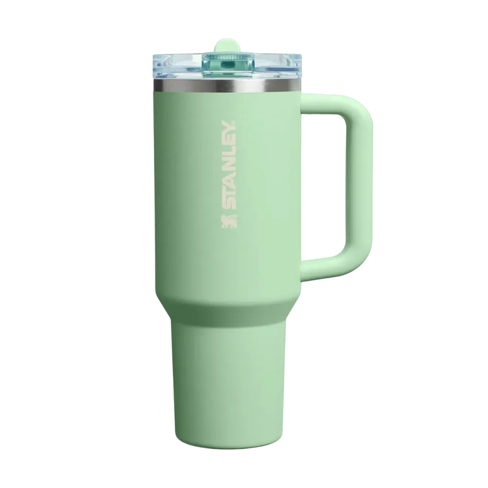Stanley The Quencher ProTour Flip Straw Tumbler Pistachio