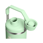 Stanley IceFlow Tumbler with Fast Flow Lid (40OZ) Pistachio