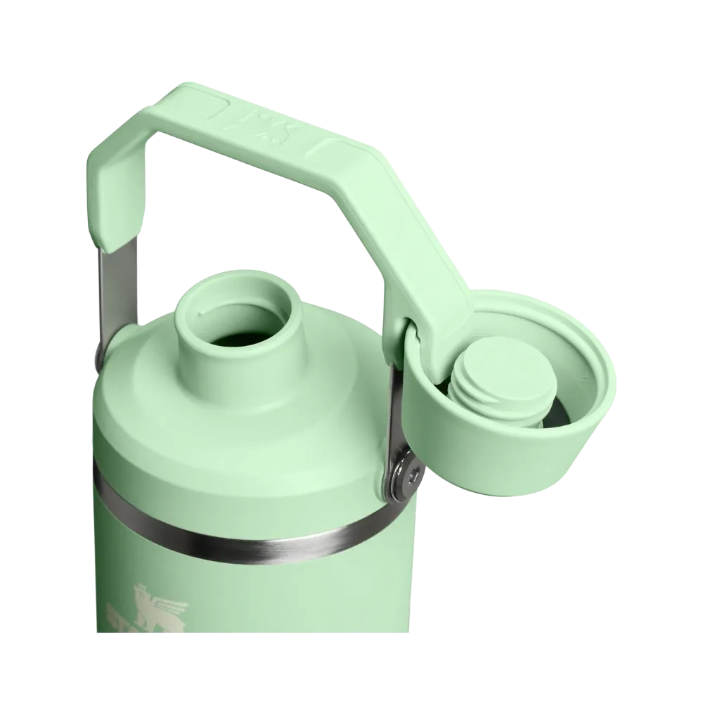 Stanley IceFlow Tumbler with Fast Flow Lid (30OZ) Pistachio