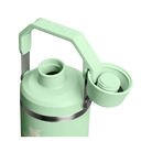Stanley IceFlow Tumbler with Fast Flow Lid (30OZ) Pistachio
