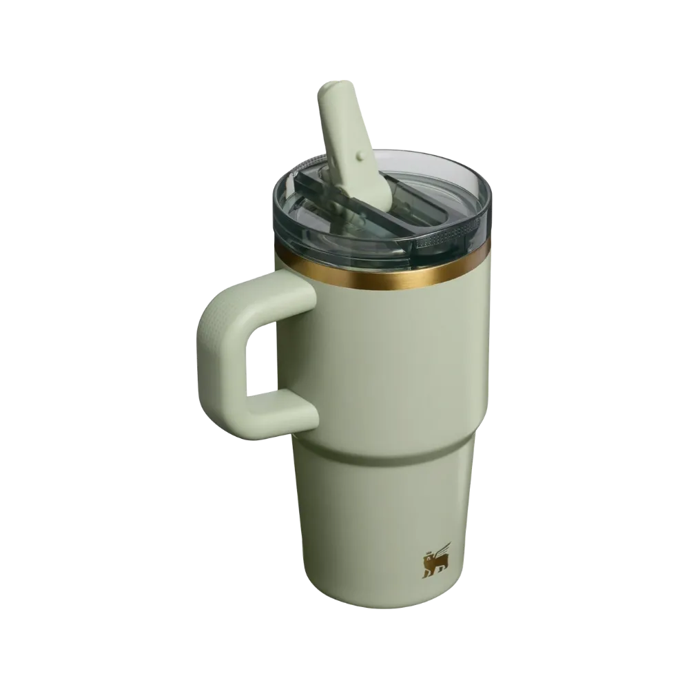 Stanley Quencher ProTour Flip Straw Tumbler (20OZ) Juniper