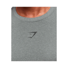 Gymshark Lightweight Seamless T-Shirt Light Grey