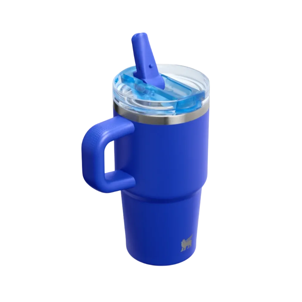 Stanley Quencher ProTour Flip Straw Tumbler 20 OZ Cobalt