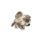 Dior Cuir Saddle Eau De Parfum – Leather And Floral Notes