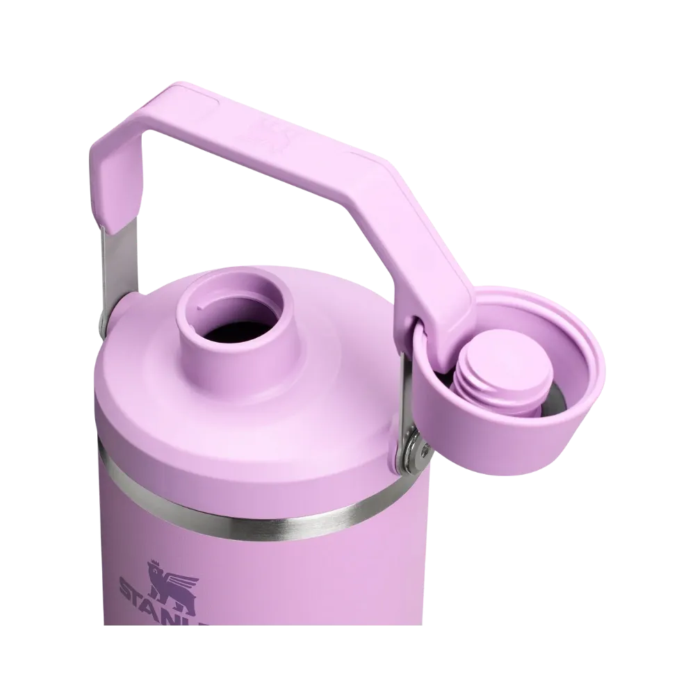 Stanley IceFlow Tumbler with Fast Flow Lid (40OZ) Lilac