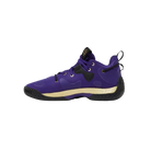 Adidas Harden Vol. 6 'Team College Purple'