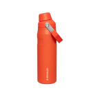 Stanley IceFlow Bottle with Fast Flow Lid (24 OZ) Tigerlily