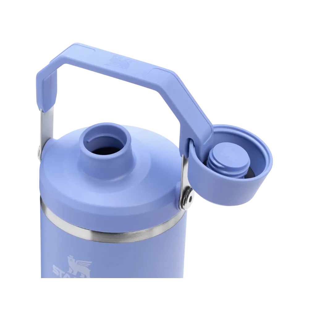 Stanley IceFlow Tumbler with Fast Flow Lid (40OZ) Hydrangea