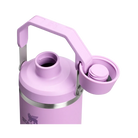 Stanley IceFlow Tumbler with Fast Flow Lid (30OZ) Lilac