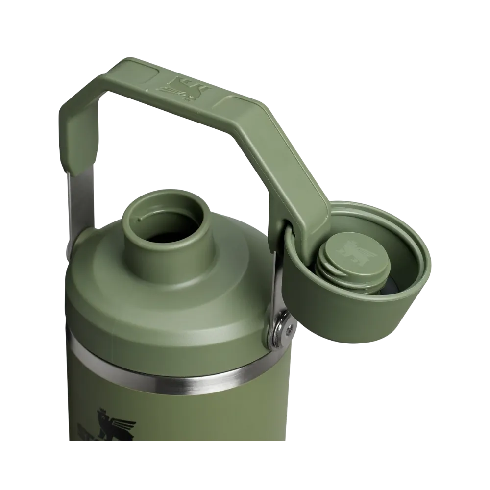 Stanley IceFlow Tumbler with Fast Flow Lid (30OZ) Dried Pine