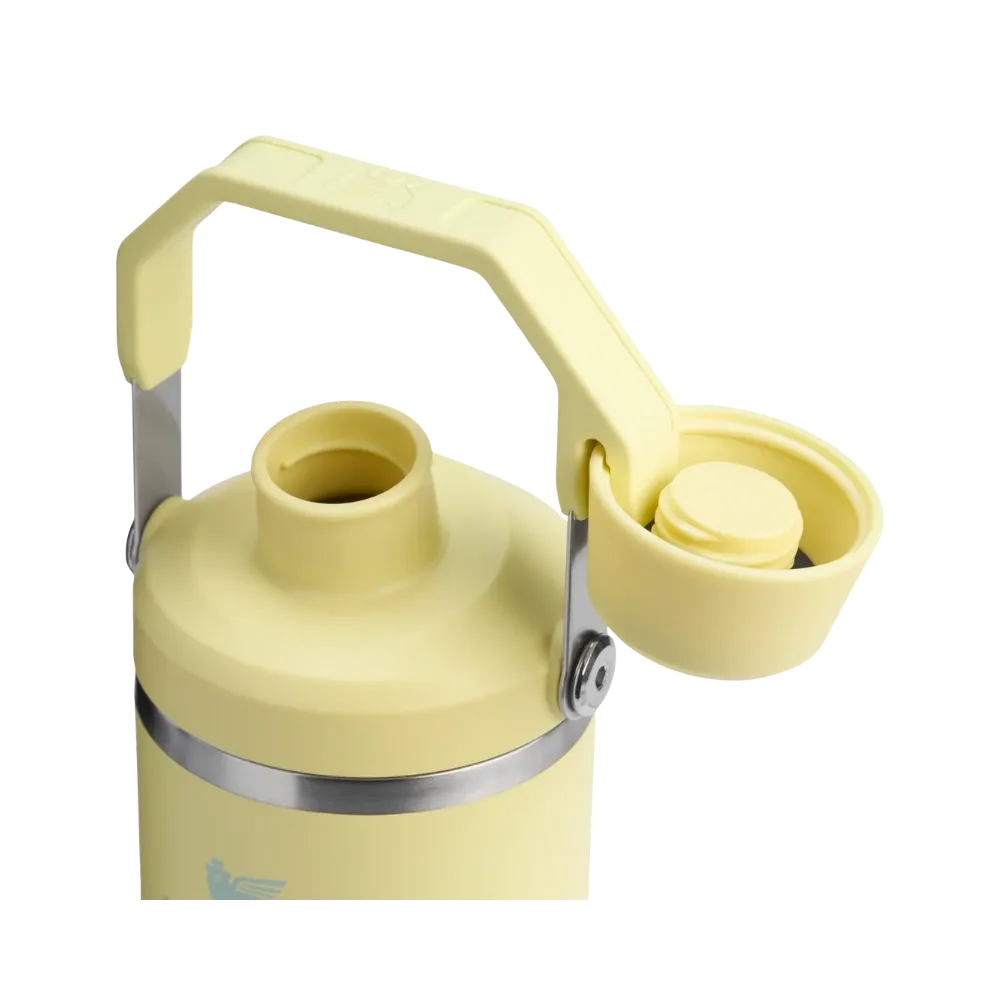 Stanley IceFlow Tumbler with Fast Flow Lid (30OZ) Pomelo