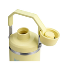 Stanley IceFlow Tumbler with Fast Flow Lid (30OZ) Pomelo