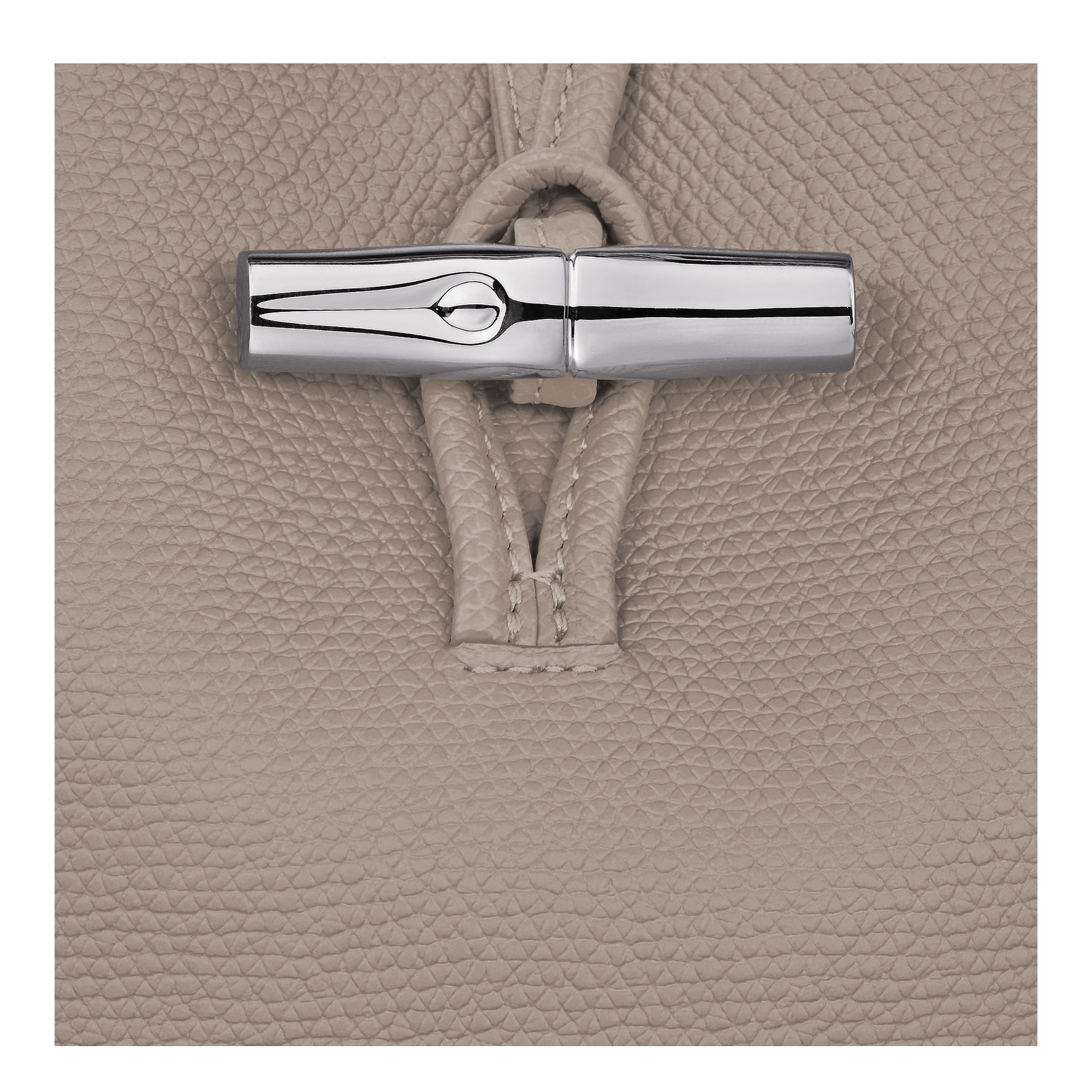 Longchamp Le Roseau Phone case Clay