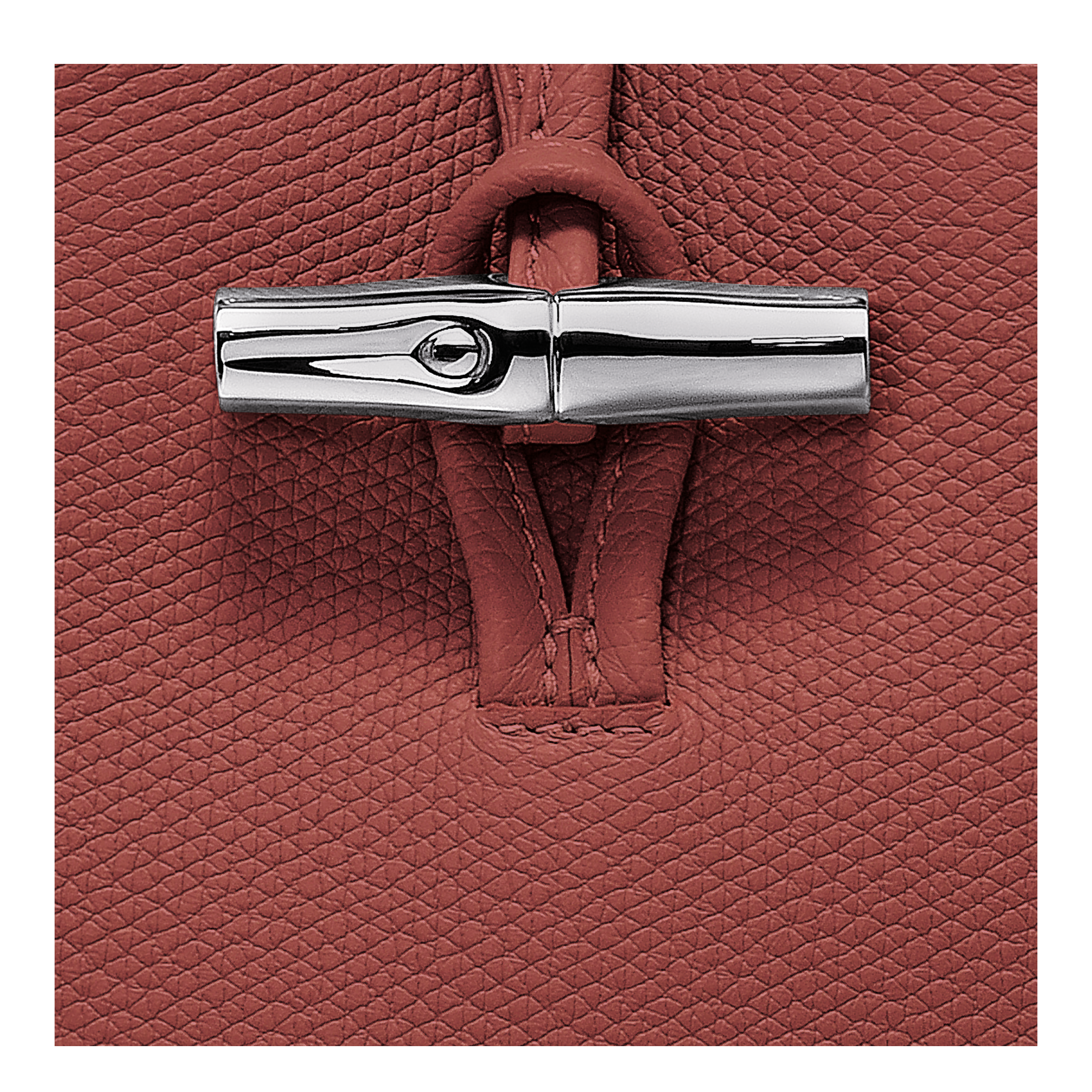 Longchamp Le Roseau Phone case Chestnut