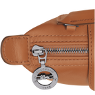 Longchamp Le Pliage Xtra XS Pouch Cashew