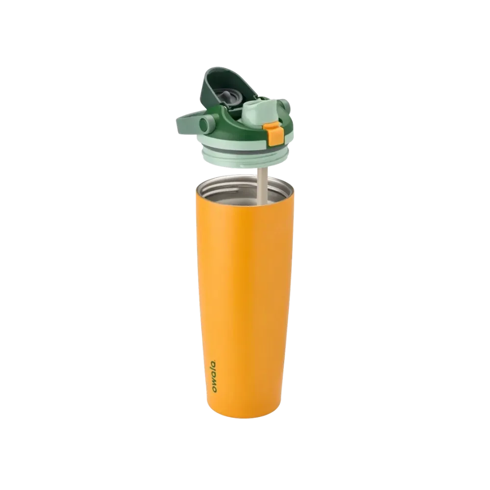 Owala Freesip-Sway 30oz "Orange Grove"