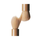 Rhode Pocket Brush