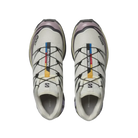 Salomon XT-6 Icicle / Nirvana / Nine Iron