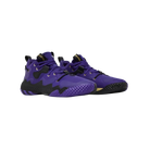 Adidas Harden Vol. 6 'Team College Purple'