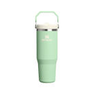 Stanley Flip Straw Iceflow Tumbler Pistachio
