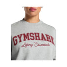 Gymshark Lifting Essentials Graphic Brushed Oversized Sweatshirt Light Grey Core Marl