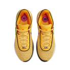 Nike LeBron 20 EP 'James Gang'