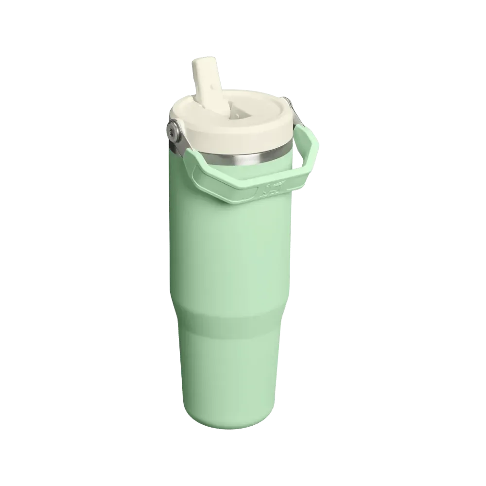 Stanley Flip Straw Iceflow Tumbler Pistachio