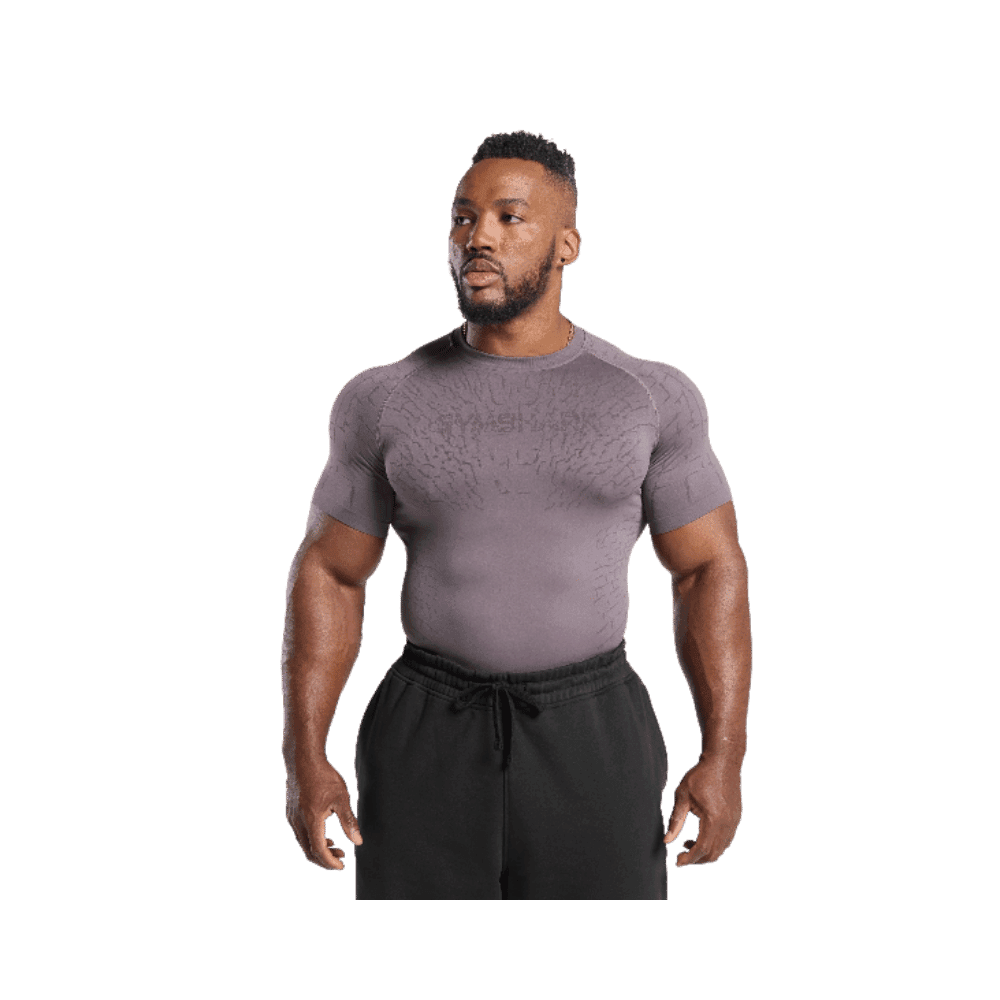 Gymshark Tectonic Seamless T Shirt Brushed Purple/Greyed Purple