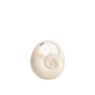 JW PEI Caylee Shell Bag - White