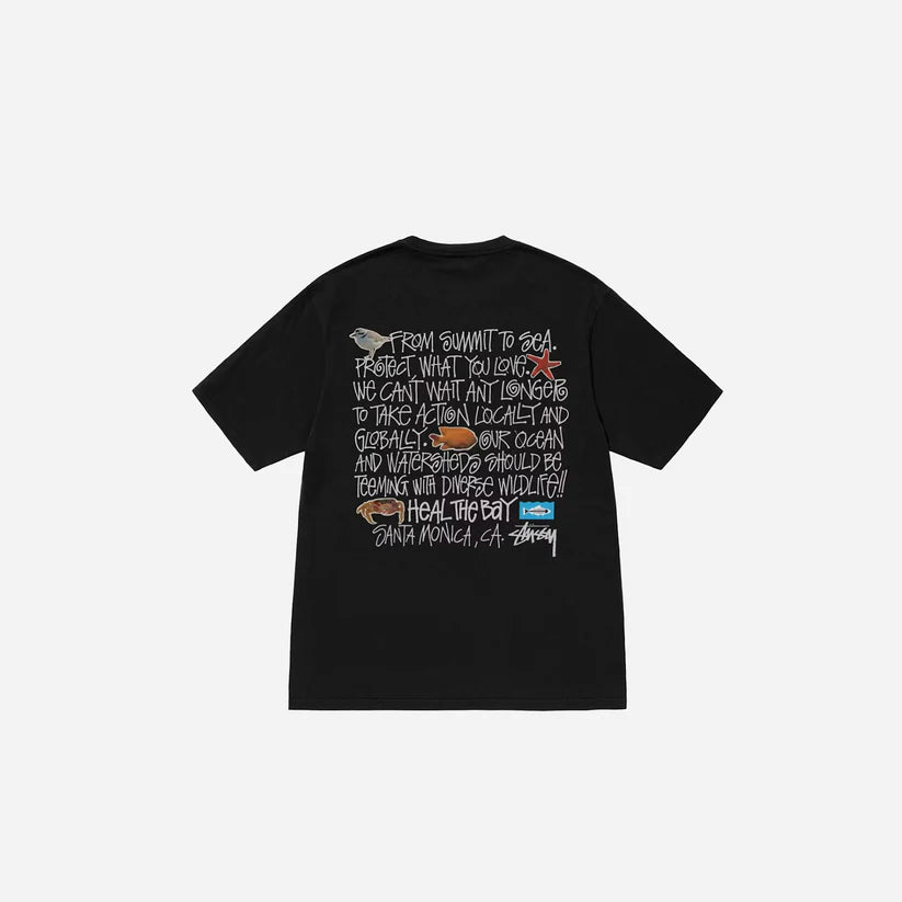 Stussy Heal The Bay Pigment Dyed Summit To Sea Tee Black