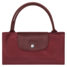 Longchamp Le Pliage Green M Handbag Pomegranate