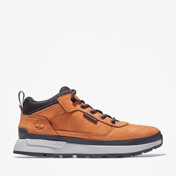Timberland Field Trekker Sneaker Wheat Men'S