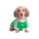 Adidas Pets Cali Tee Flash Lime