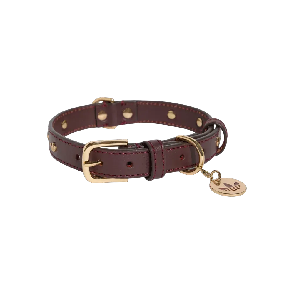 Adidas Pets Collar Collegiate Burgundy