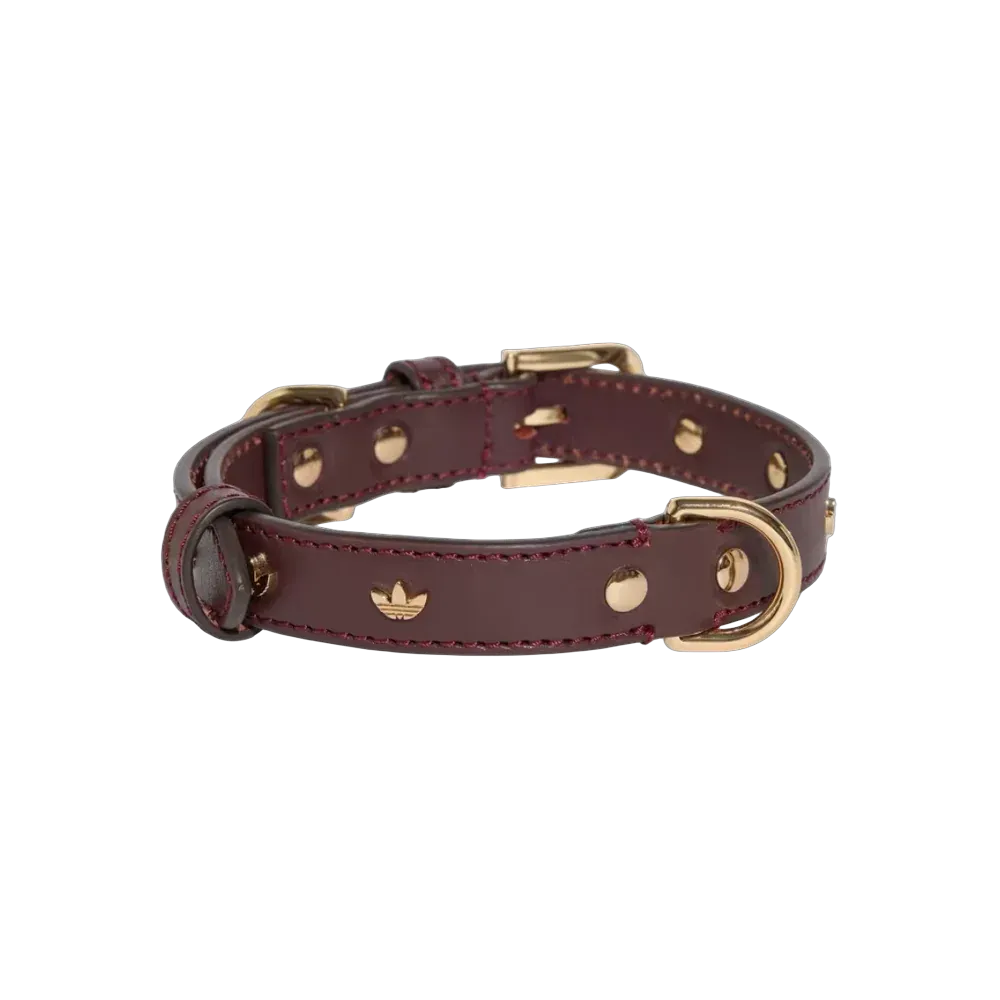 Adidas Pets Collar Collegiate Burgundy
