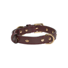 Adidas Pets Collar Collegiate Burgundy