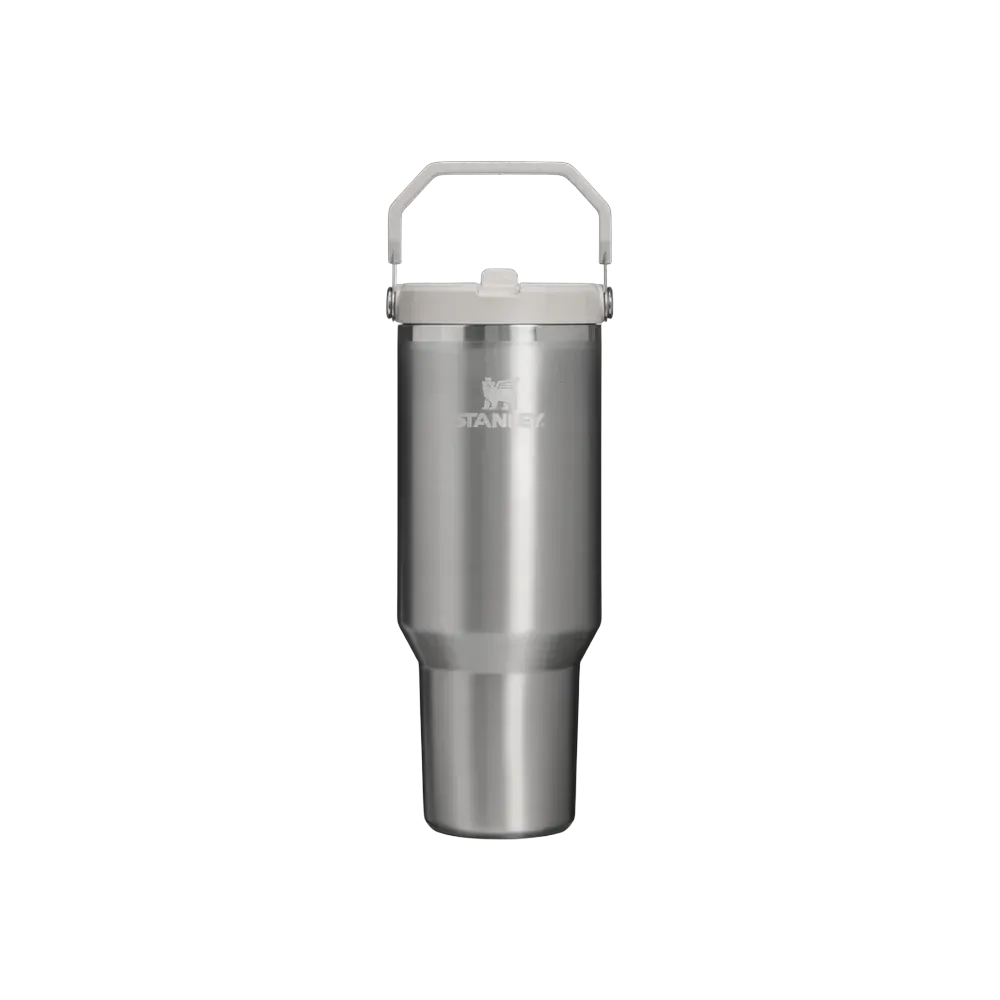 Stanley The IceFlow Flip Straw Tumbler 30 OZ Stainless Steel Ash