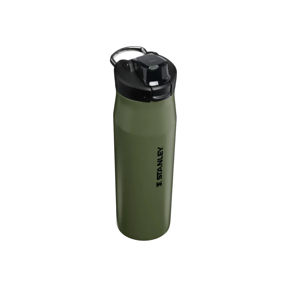 Stanley The Vitalize Tempo Bottle 24 OZ Dried Pine