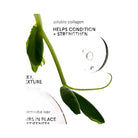 Glossier Boy Brow Volumizing Eyebrow Gel-Pomade - Dark Brown