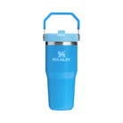 Stanley IceFlow Flip Straw Tumbler (14OZ) Azure