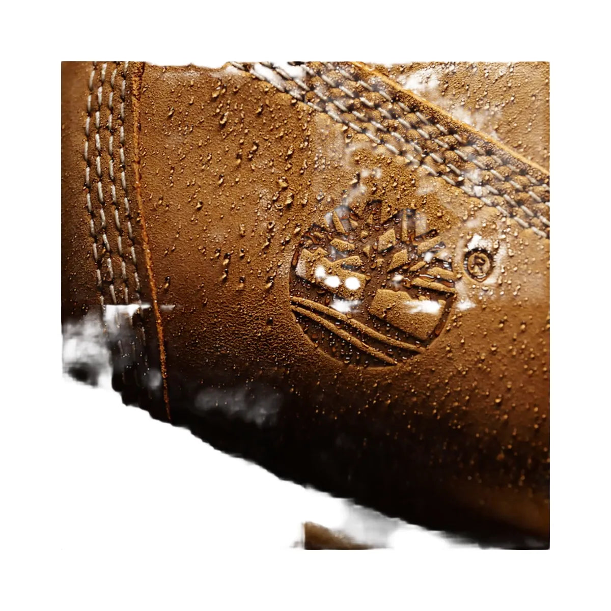 Timberland Premium 6-Inch Waterproof Boot Wheat Men'S