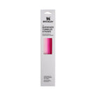 Stanley Adventure Quencher Travel Tumbler Straws (40OZ) Pink