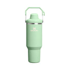 Stanley IceFlow Tumbler with Fast Flow Lid (40OZ) Pistachio