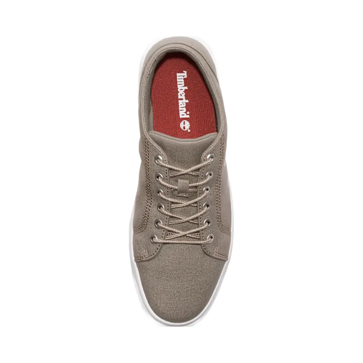 Timberland Seneca Bay Sneaker Light Taupe Canvas Men'S