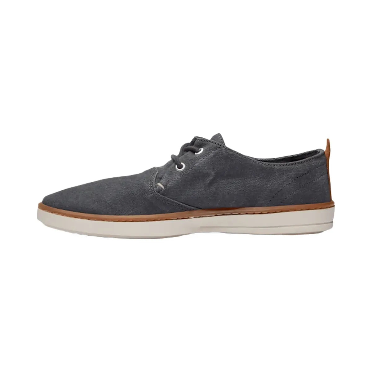Timberland Hookset Canvas Sneaker Black Canvas Men'S