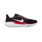 Air Zoom Pegasus 41 'Black Fire Red'