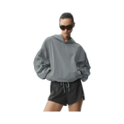 Alo Axis Hooded Pullover 'Monument'