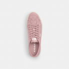 Women's Coach Canvas Sneaker Carnation Chalk